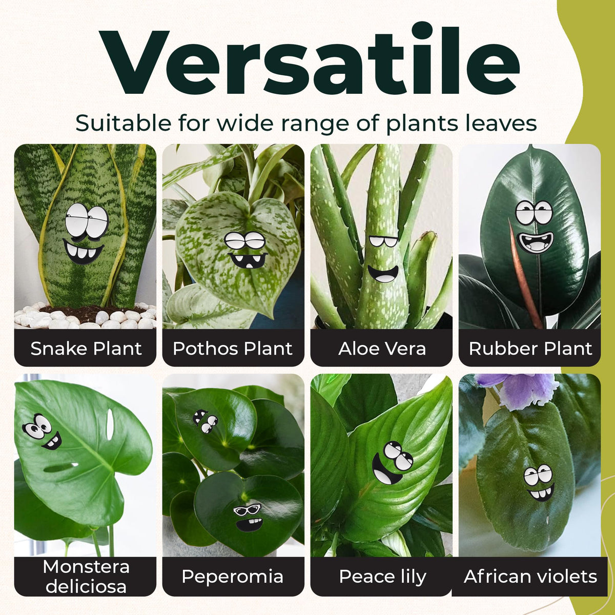 Camtoms leaf-friendly magnets attach securely without harming leaves