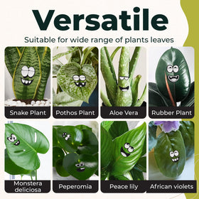 Camtoms leaf-friendly magnets attach securely without harming leaves