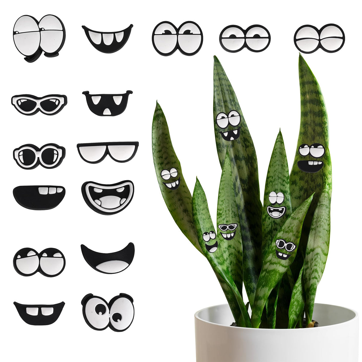 Camtoms plant eyes magnets add playful personality to potted plants