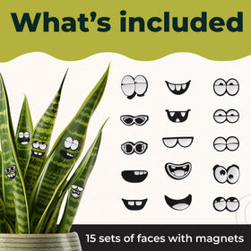 Camtoms plant faces magnets transform greenery into charming home decor