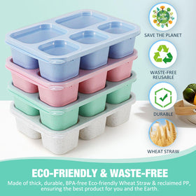 Caperci bento set with colorful lids and clear containers for easy week prep