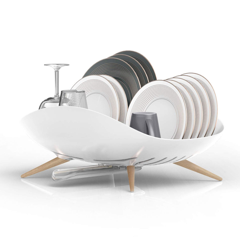Carrotez dish drying rack full view shows sleek white modern design for counters