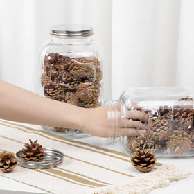 CATPOWER clear glass body highlights contents for organized pantry visibility.