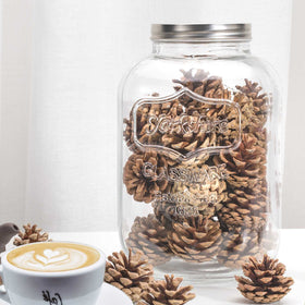 CATPOWER kitchen decor jar suitable for stylish storage in homes or cafes.