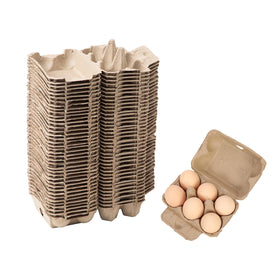 Ccuiicy 40-pack egg cartons bulk for organized storage and transport