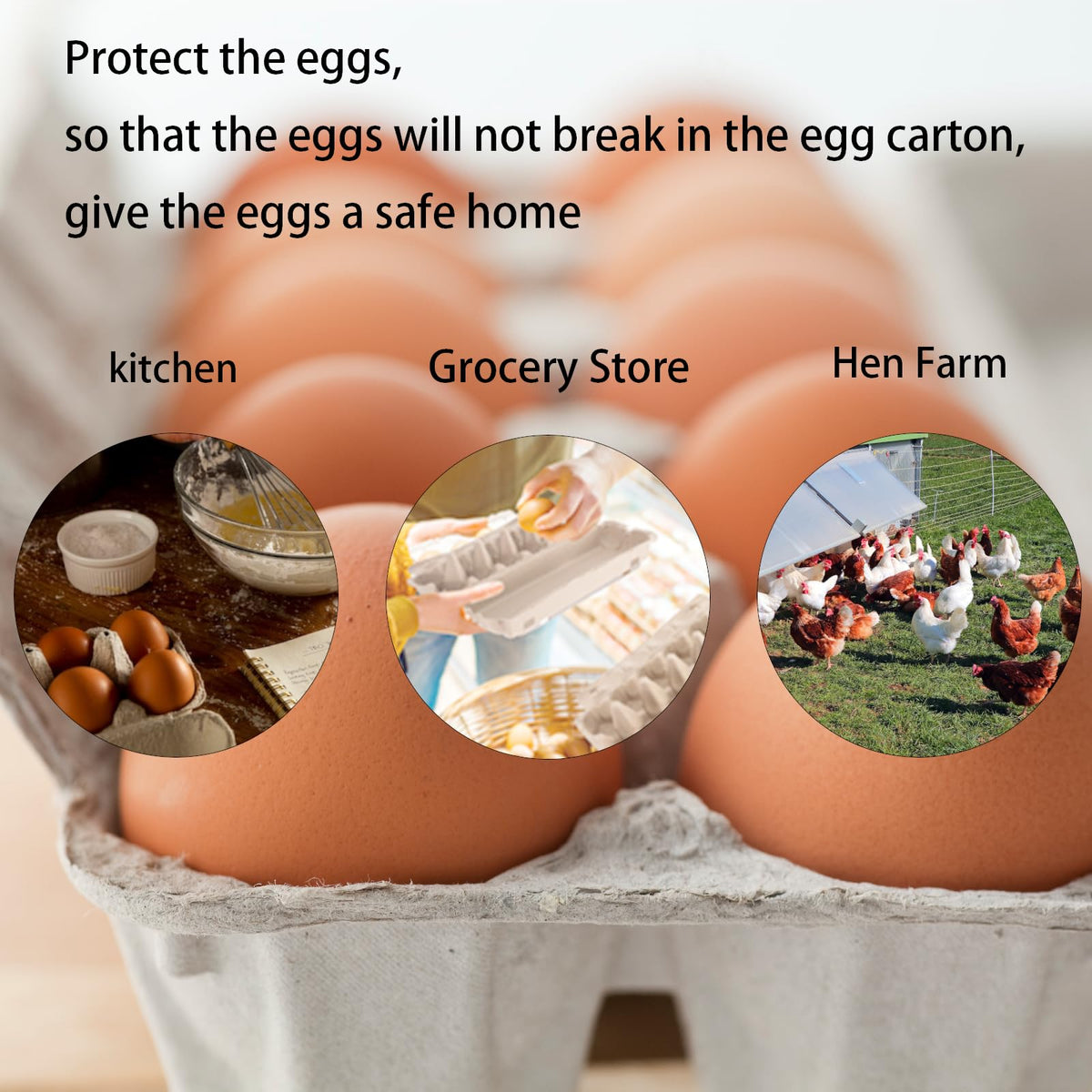 Ccuiicy sturdy-design egg holder for secure stacking and freezer-ready storage.