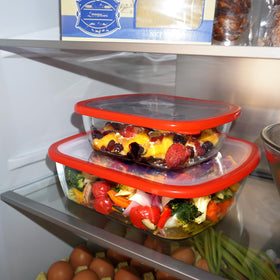 CGNWEEPS multipurpose baking dish ideal for brownies, roasts, and leftovers.