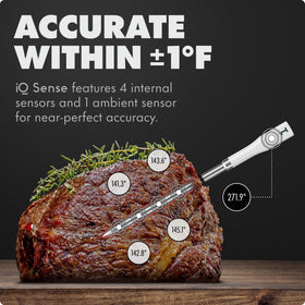 CHEF iQ Sense with five sensors measuring internal and ambient temps for accuracy.