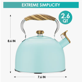 Chefbar blue stainless steel tea kettle heats quickly on induction and gas stoves.
