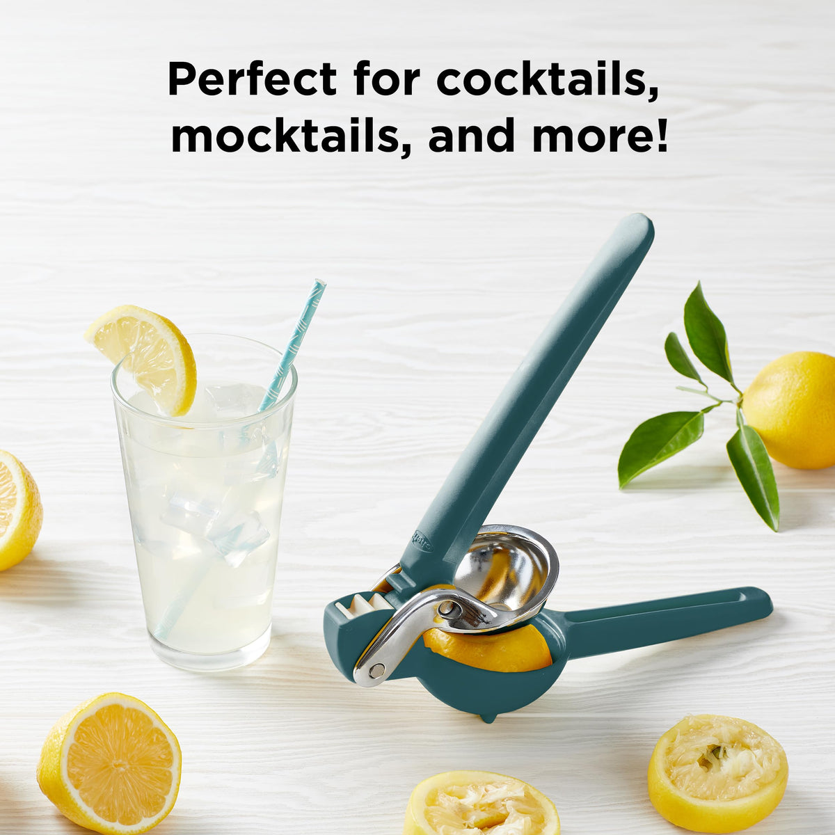 Chef'n FreshForce top-rack dishwasher safe for quick cleanup.