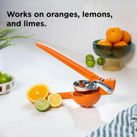 Easy to clean, top-rack dishwasher safe design.