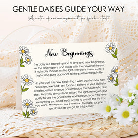 CHESACE Elegant gift box with premium presentation.