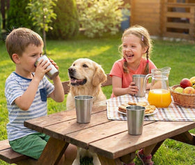 CHILLOUT LIFE cups ideal for parties and picnics during outdoor adventures.
