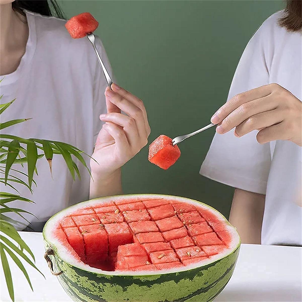 Choxila watermelon cubes 1.1 inch produced layer by layer for even portions.