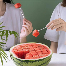 Choxila watermelon cubes 1.1 inch produced layer by layer for even portions.