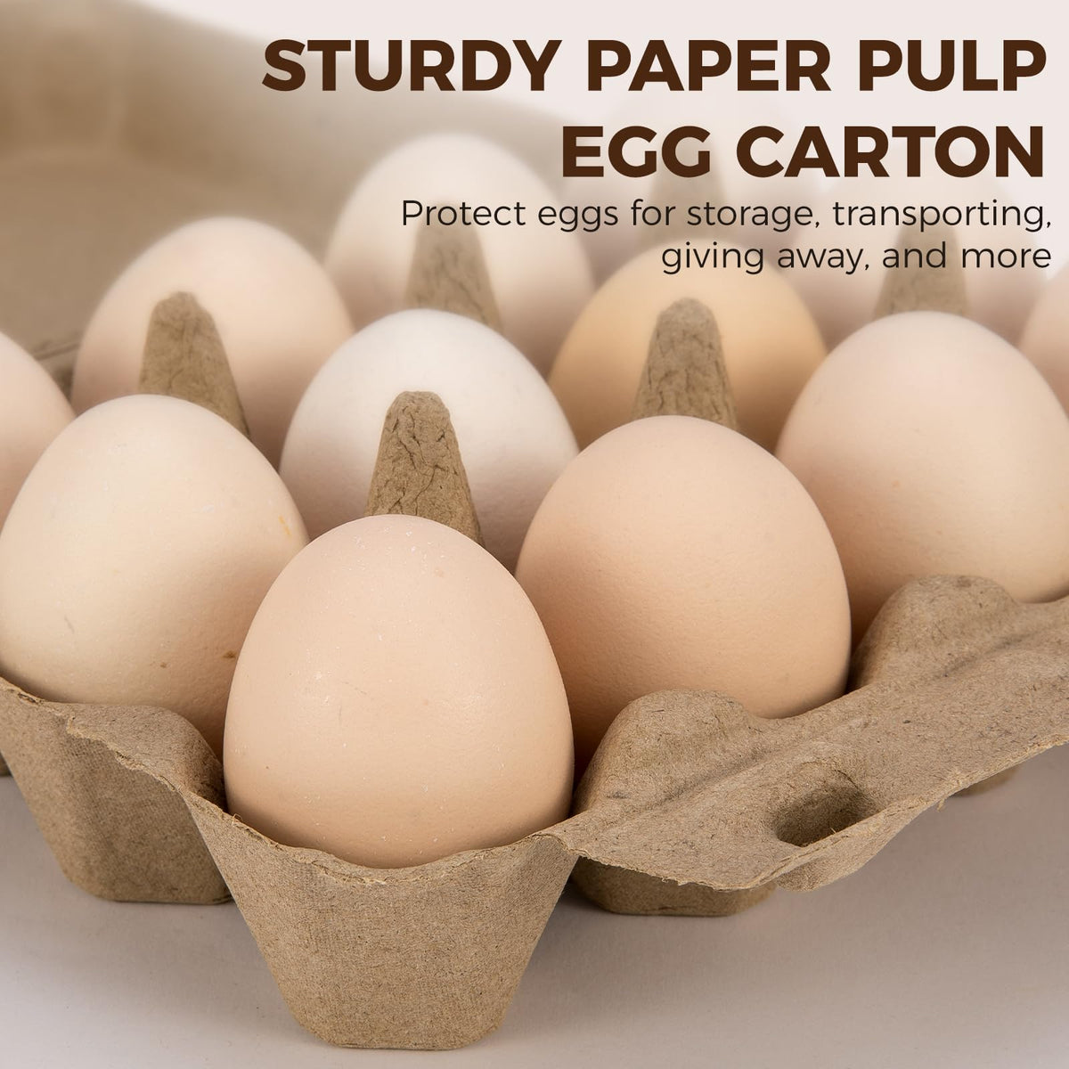 CINPIUK stackable 12-egg carton for organized fridge storage