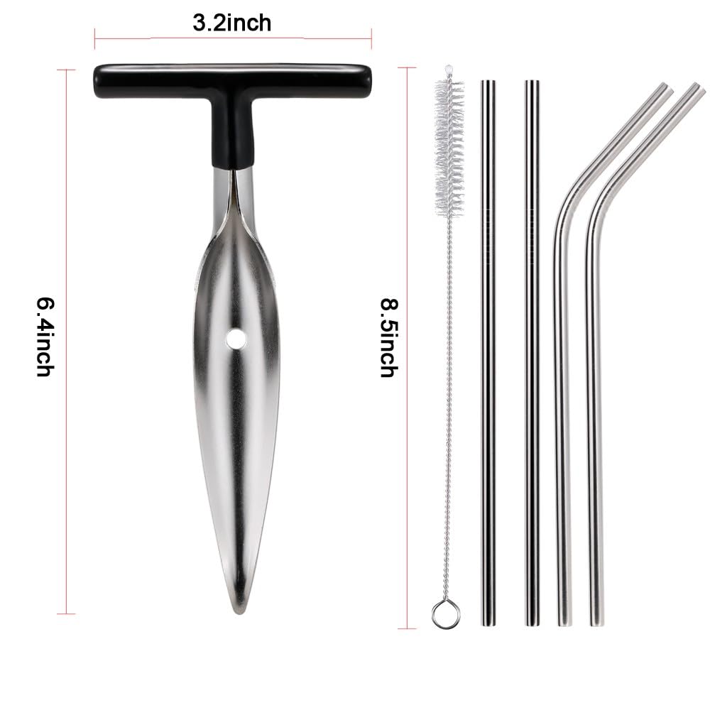 CJFocus 2-pack coconut opener with reusable stainless straws ready for use.