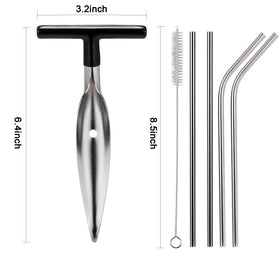 CJFocus 2-pack coconut opener with reusable stainless straws ready for use.
