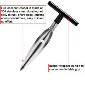 CJFocus stainless steel reusable straws enable eco-friendly coconut sipping.
