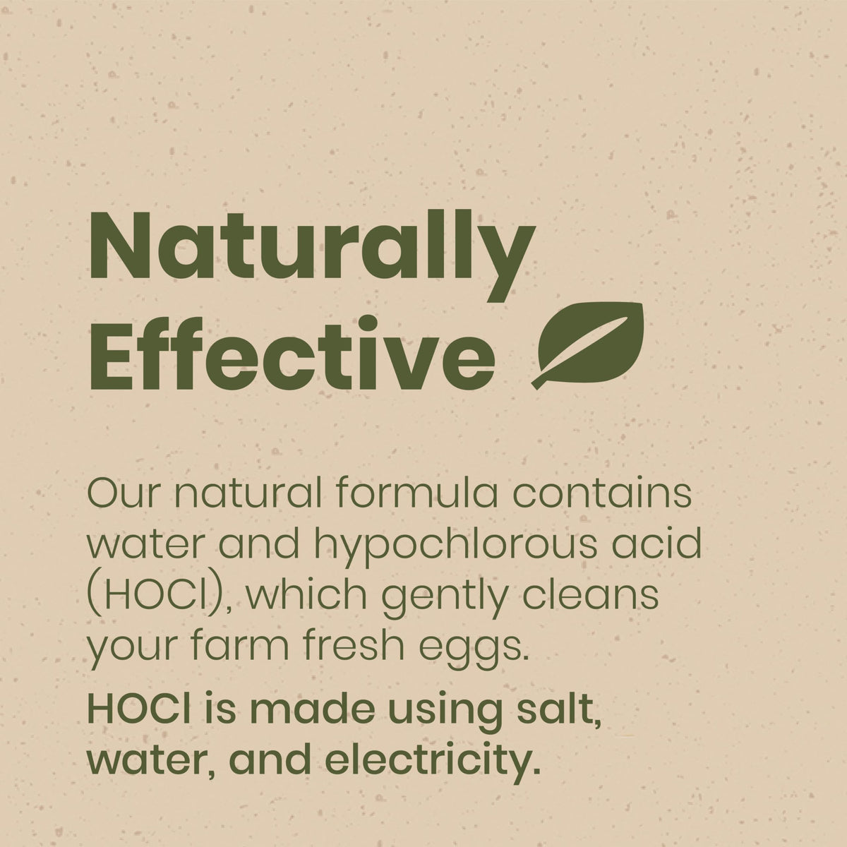 Eggs soaking in a bowl with Fresh Nest solution for gentle cleaning