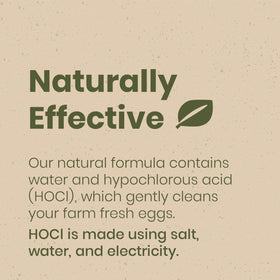 Eggs soaking in a bowl with Fresh Nest solution for gentle cleaning