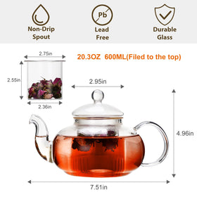 CNGLASS glass teapot blooming tea ready showcases floral brews beautifully