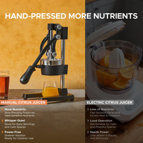 CO-Z manual citrus juicer removable stainless-steel strainer keeps seeds out.