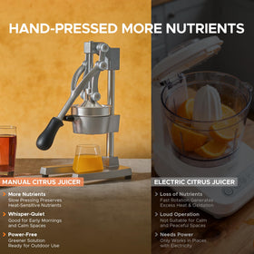 CO-Z stainless steel strainer separates pulp and seeds for clean juice