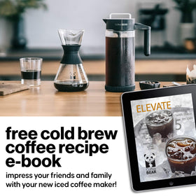 COFFEE BEAR flavor-sealing lid preserves freshness between brews