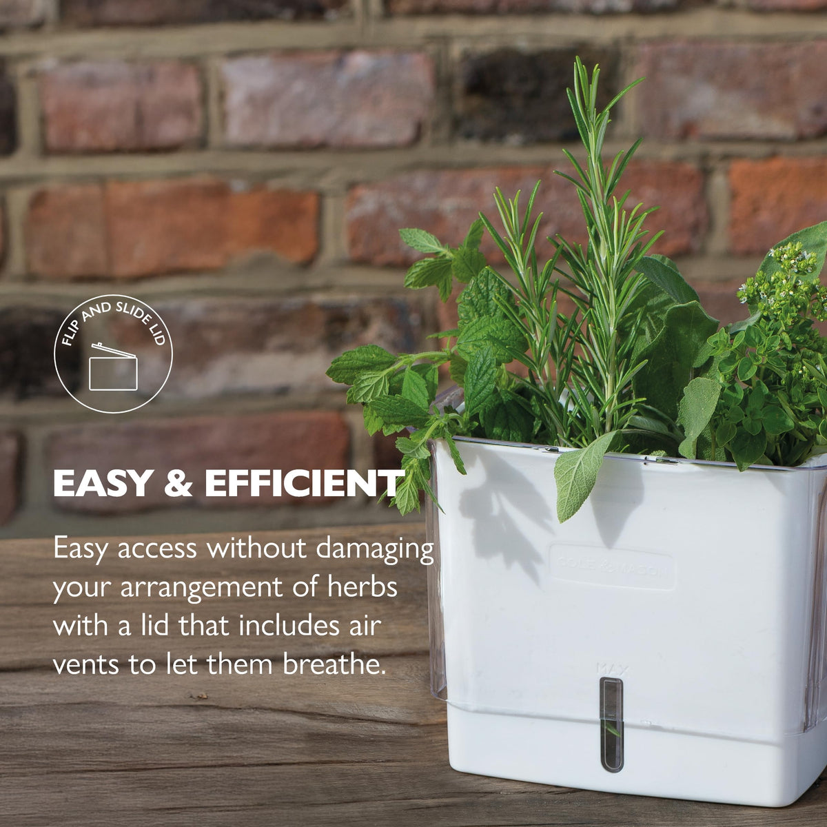 Cole & Mason Fresh Herb Keeper demonstrates air vents supporting herb storage.