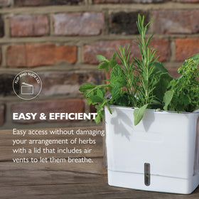 Cole & Mason Fresh Herb Keeper demonstrates air vents supporting herb storage.