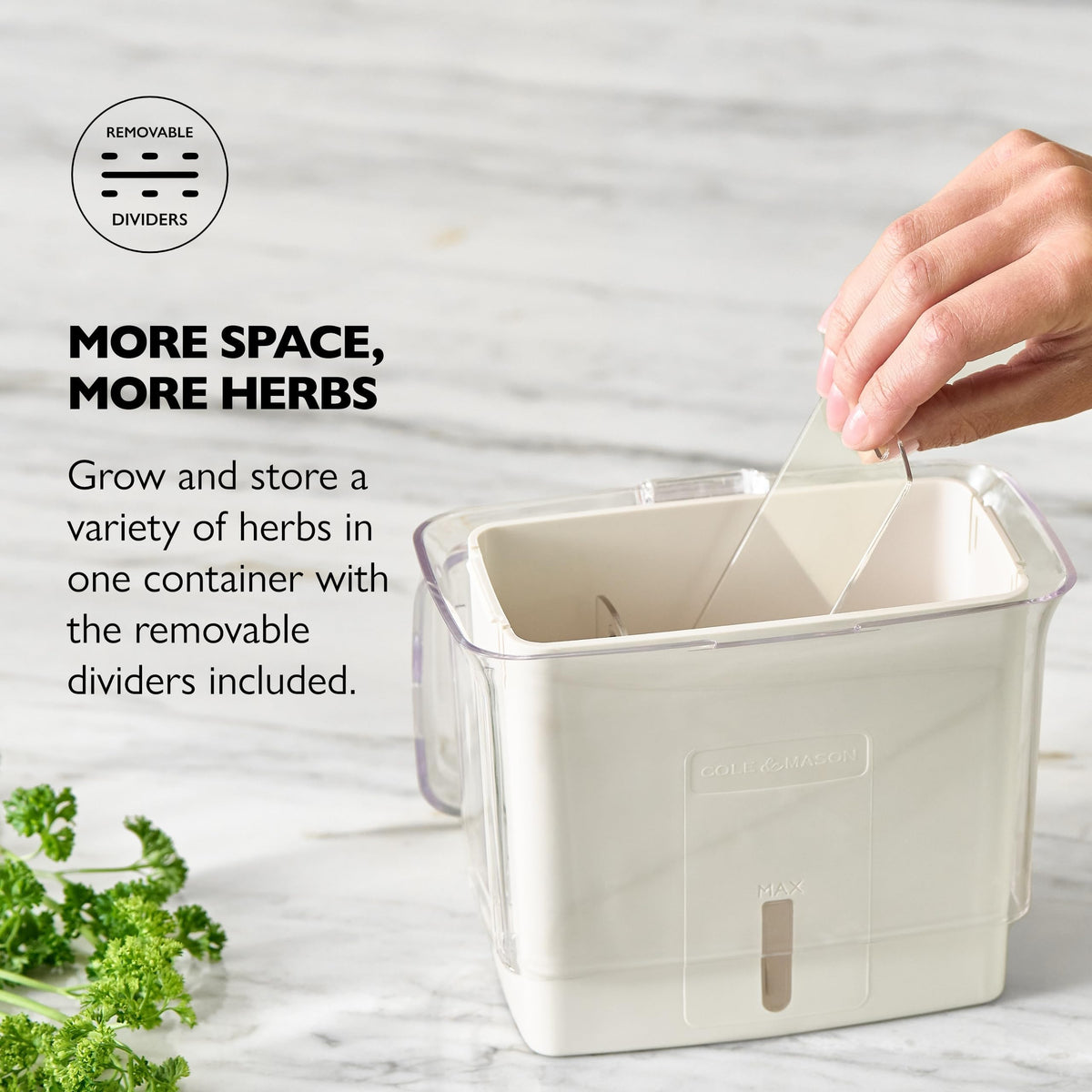 Cole & Mason Fresh Herb Keeper with removable dividers for multiple herbs.
