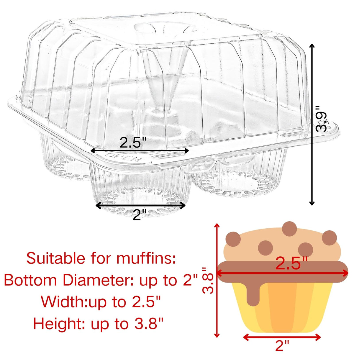 Coloch cupcake box in transit with stable compartments for cupcakes