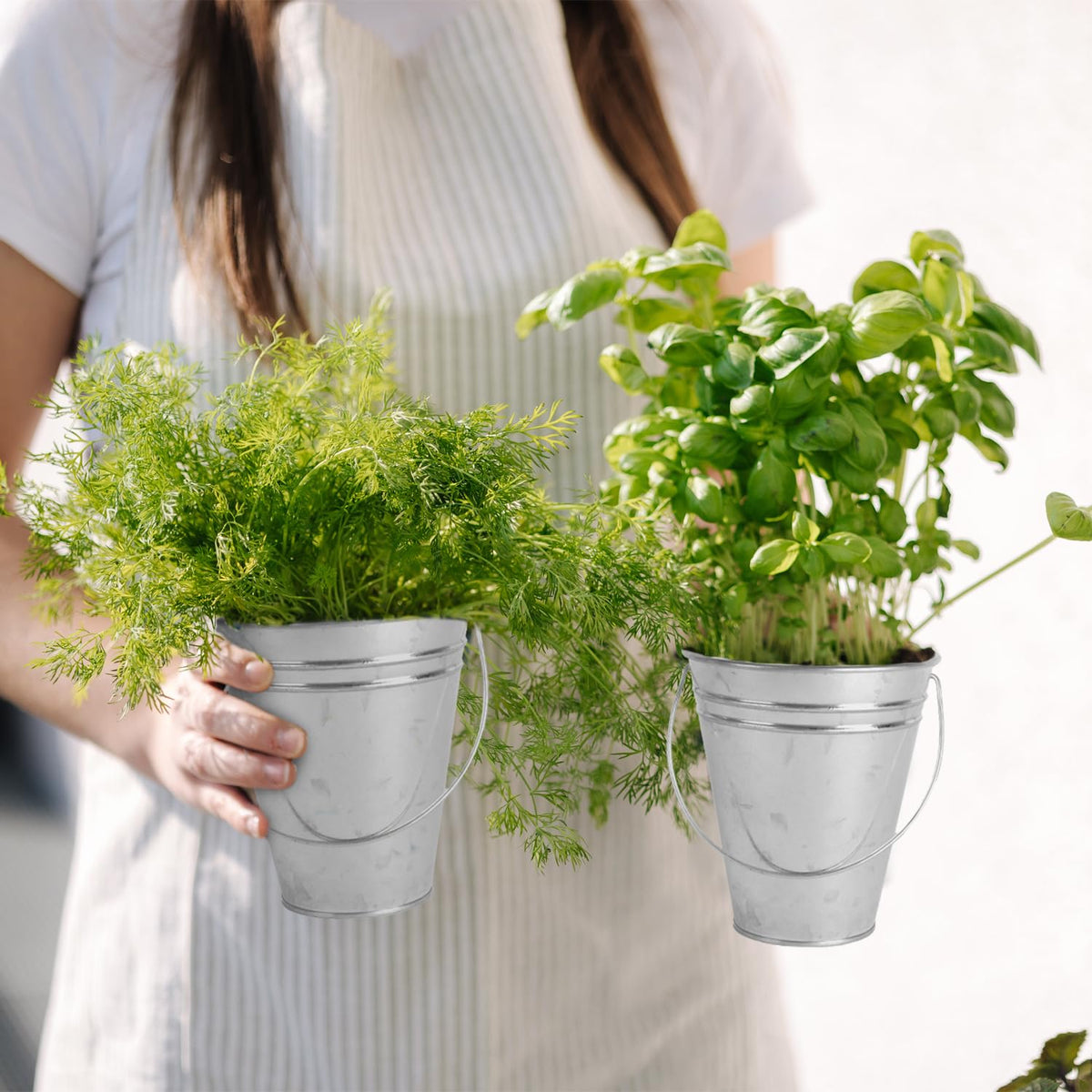 Colorlaza garden planter mini bucket ideas for herbs or succulents.