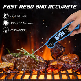 Comluck CA002 dual-probe with extended wire for grilling and smoking.