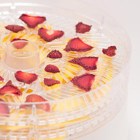 Commercial CHEF trays drying fruits and vegetables with even airflow