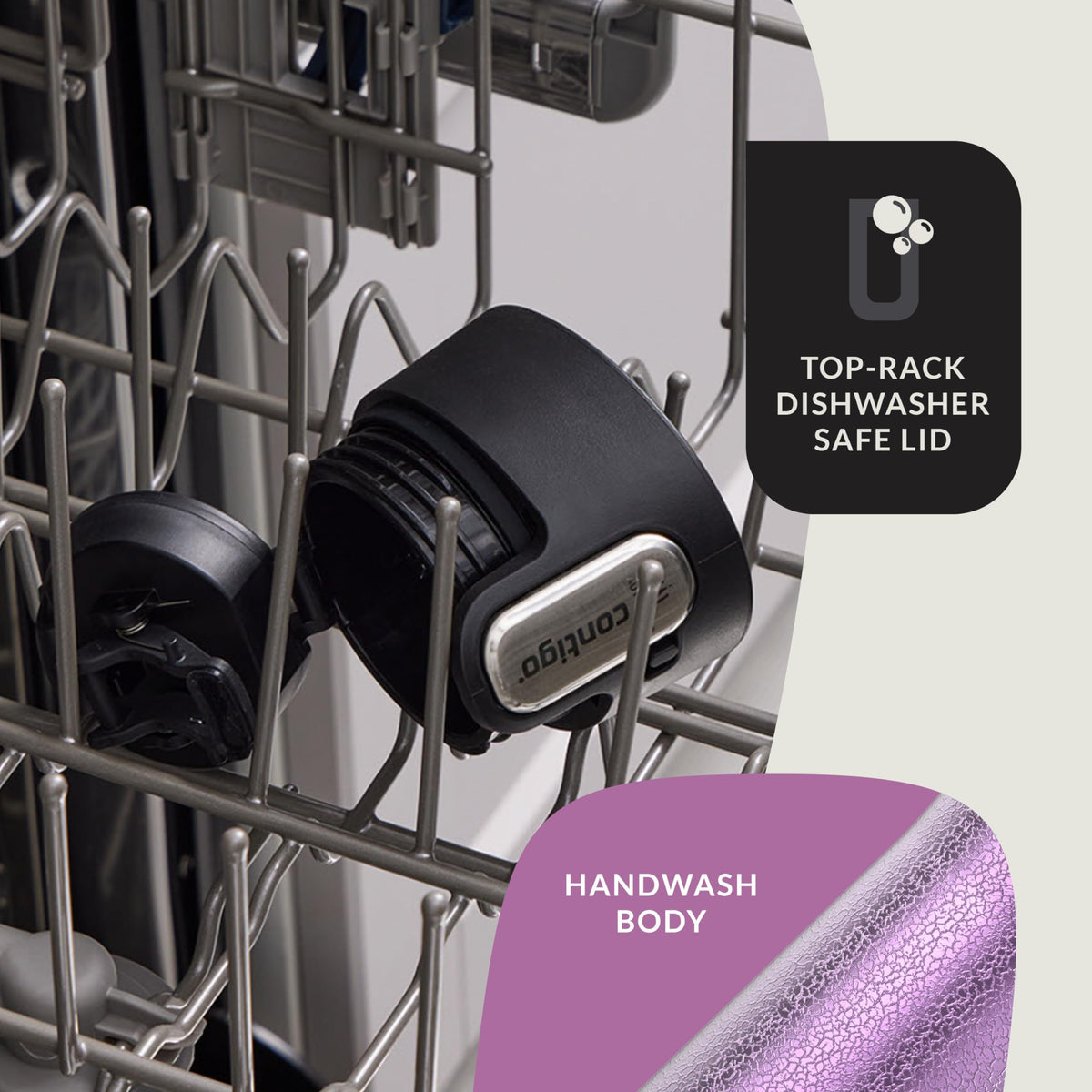 Top-rack dishwasher-safe lid noted; body should be hand-washed for longevity.