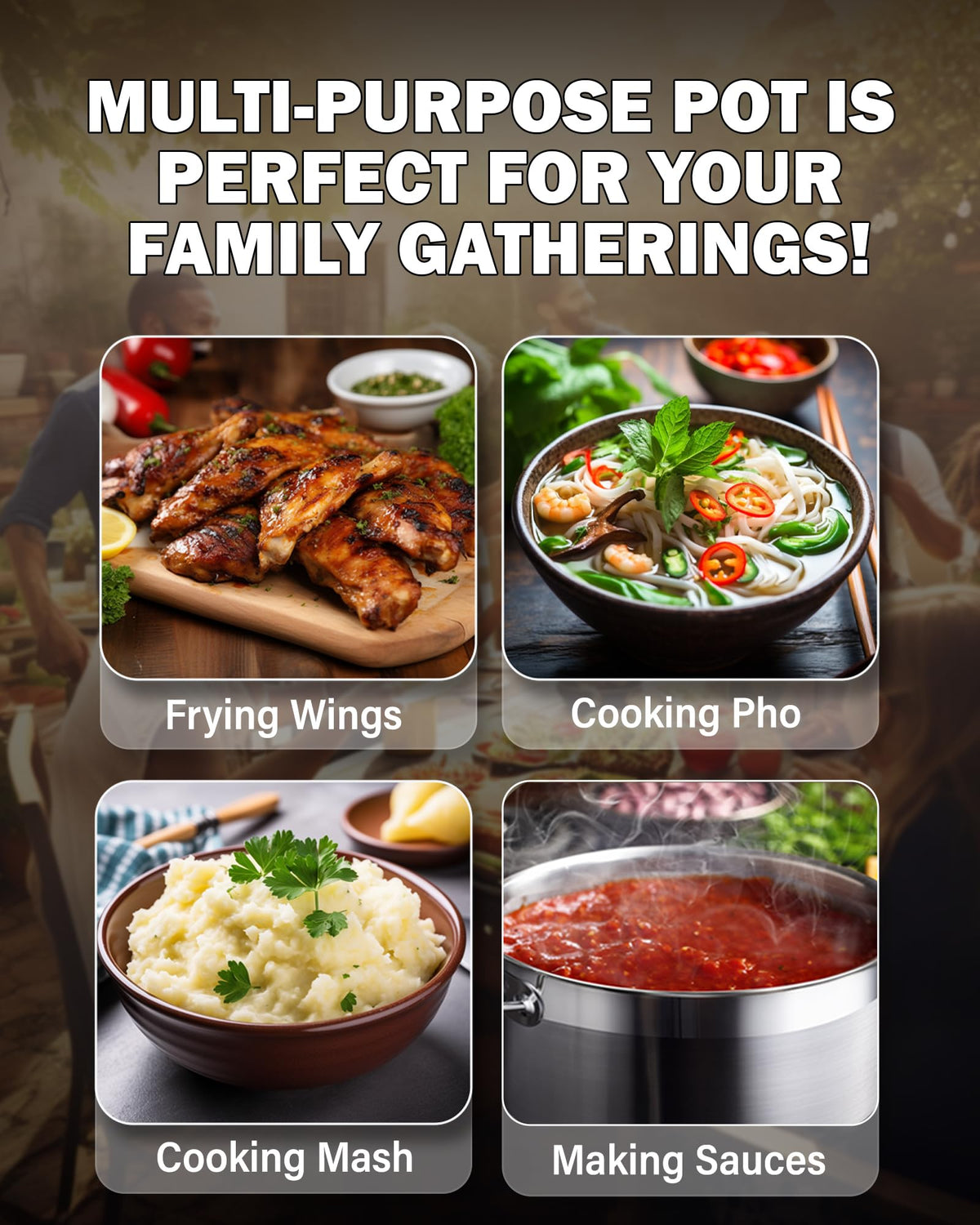 Cooks Standard stock pot on induction and other stoves.