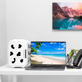 Cooluli Classic 4L includes AC, DC, and USB cords for versatile use.