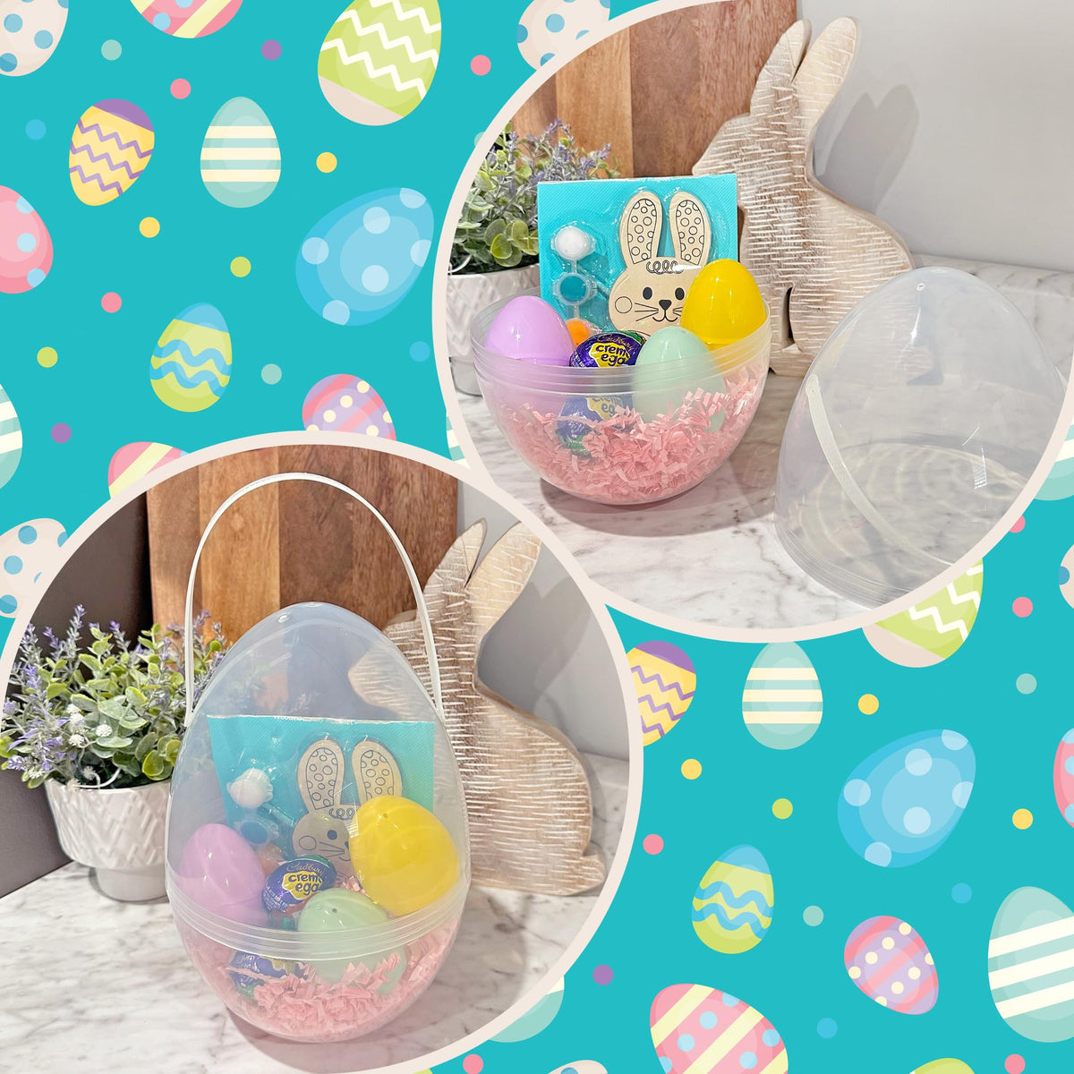 Cornucopia Brands transparent shells showcase contents and crafts projects.