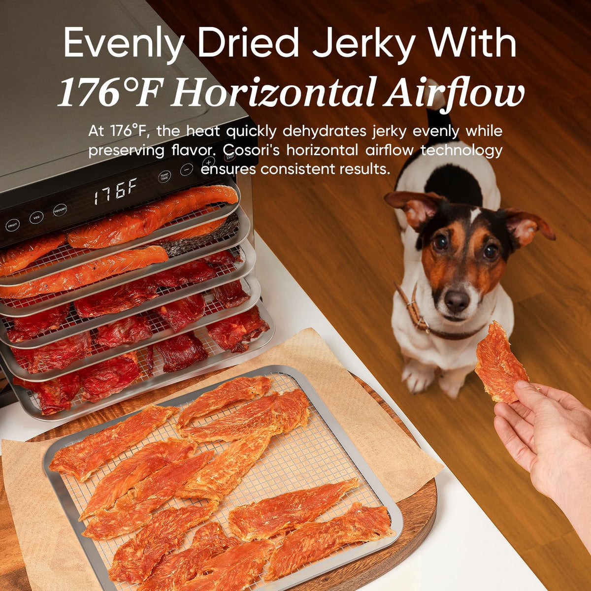 Cosori dehydrator control panel showing presets for jerky and yogurt