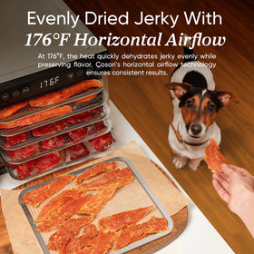 Cosori dehydrator control panel showing presets for jerky and yogurt