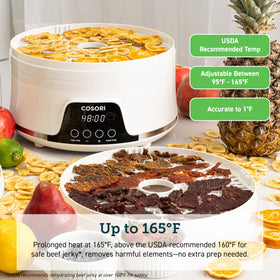 Cosori 165°F control on dehydrator for precise drying