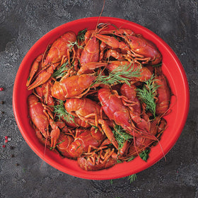 Creole Feast PP1006 shatterproof plates resist drops, ensuring reliable use at parties.