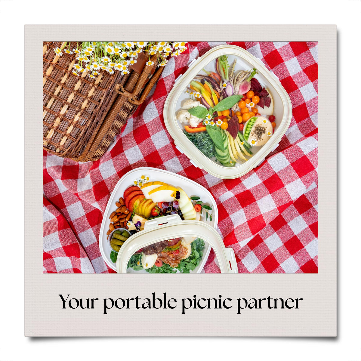 Crudités stackable meal-prep containers organize your fridge efficiently.