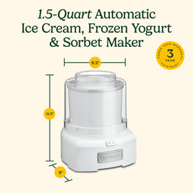 Cuisinart ice cream maker paddle close-up highlighting design