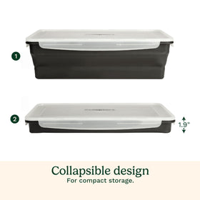 Cuisinart XL Collapsible Marinating Container in fridge, storage ready for meal prep.