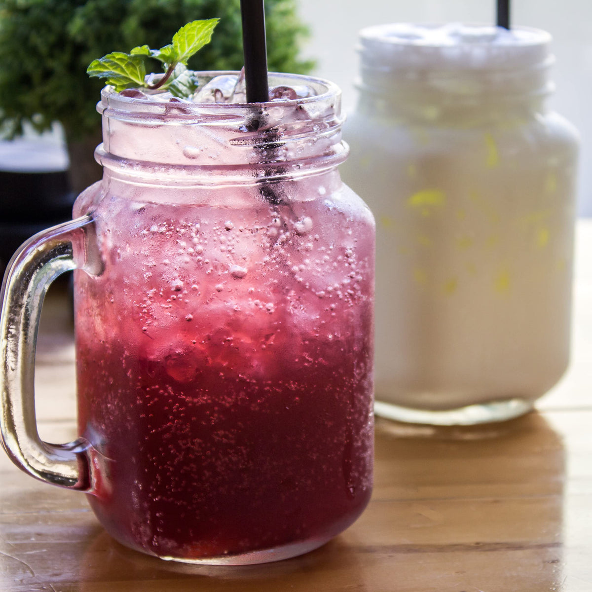 Cultures For Health kefir starter batch reuse supports multiple servings.