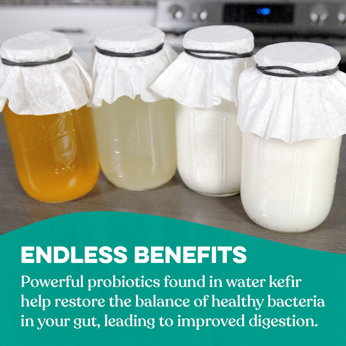 Lab-tested kefir starter by Cultures For Health ensures quality and safety.