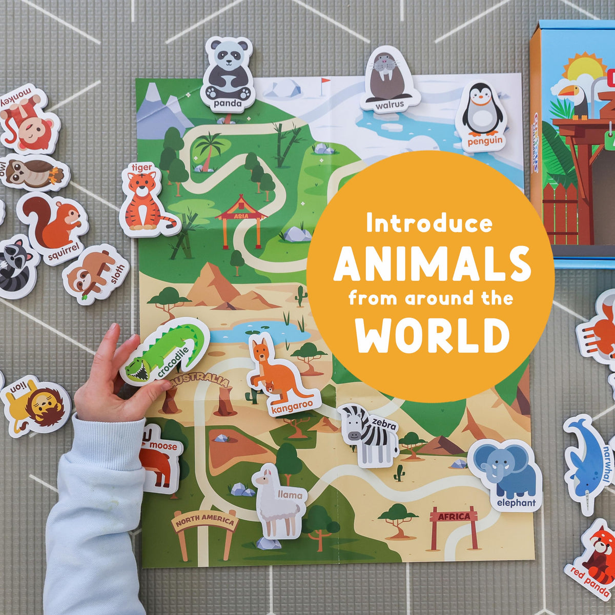Curious Columbus elephant magnet adds interactive zoo fun on magnetic boards